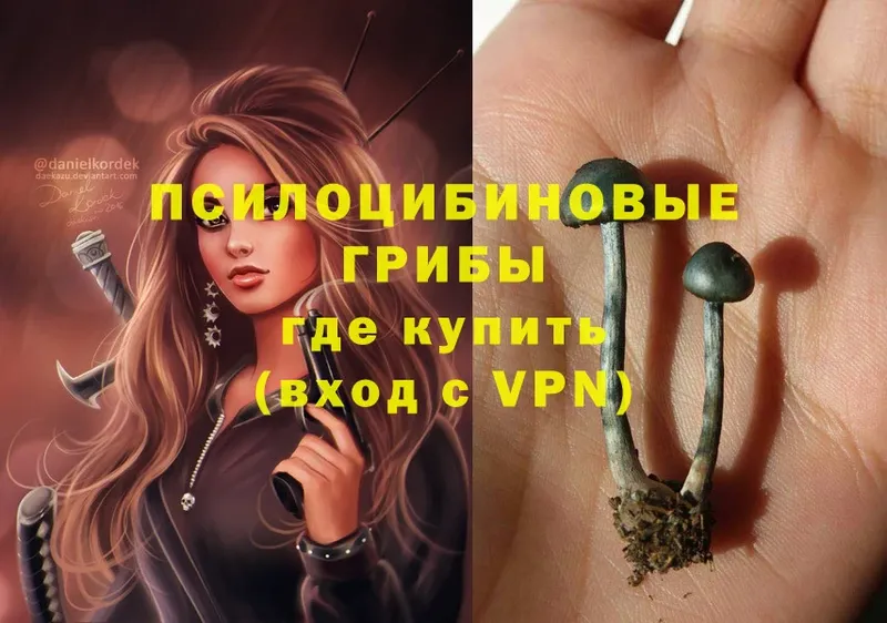 Галлюциногенные грибы MAGIC MUSHROOMS  Карачев 